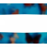 How cultural perceptions affect scientific credibility