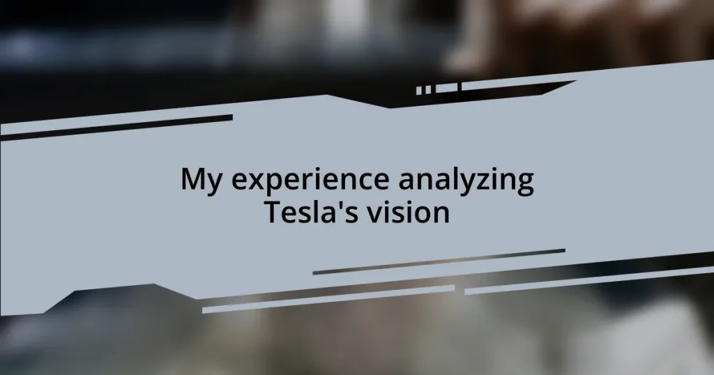 My experience analyzing Tesla’s vision