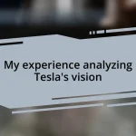 My experience analyzing Tesla’s vision