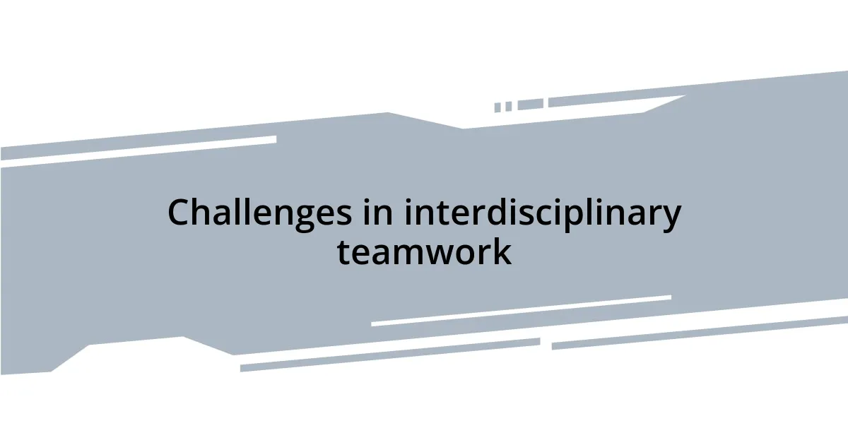 Challenges in interdisciplinary teamwork